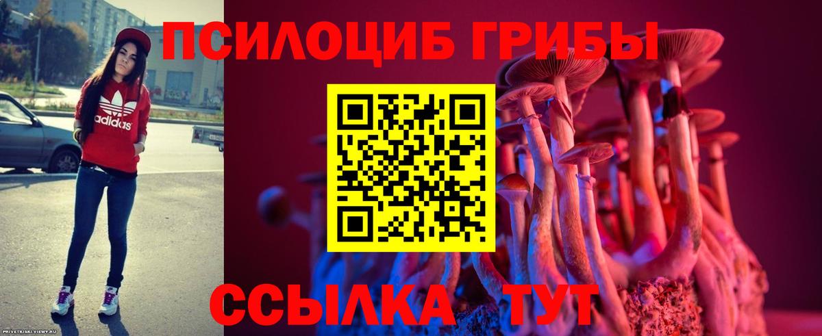 Псилоцибиновые грибы Psilocybine cubensis Дивногорск
