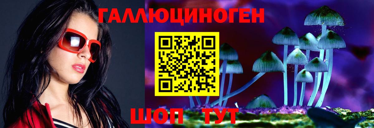 Дивногорск  Галлюциногенные грибы GOLDEN TEACHER  Вход с VPN 